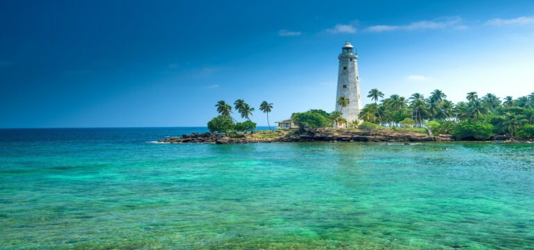Discover Sri Lanka Tour