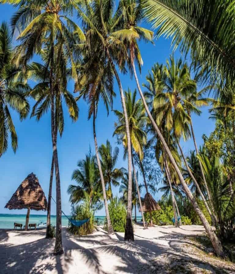 Cape Town and Zanzibar Beach