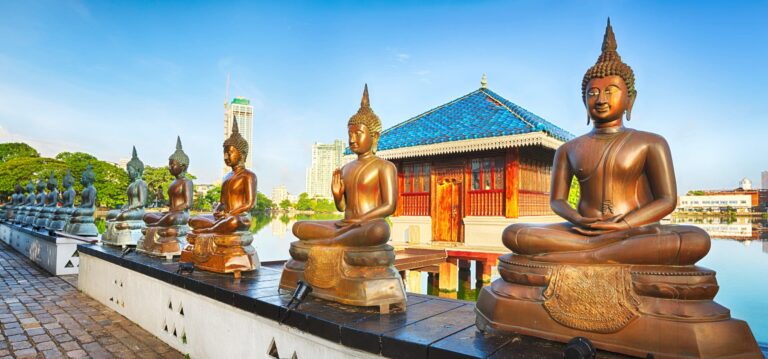 Discover Sri Lanka Tour