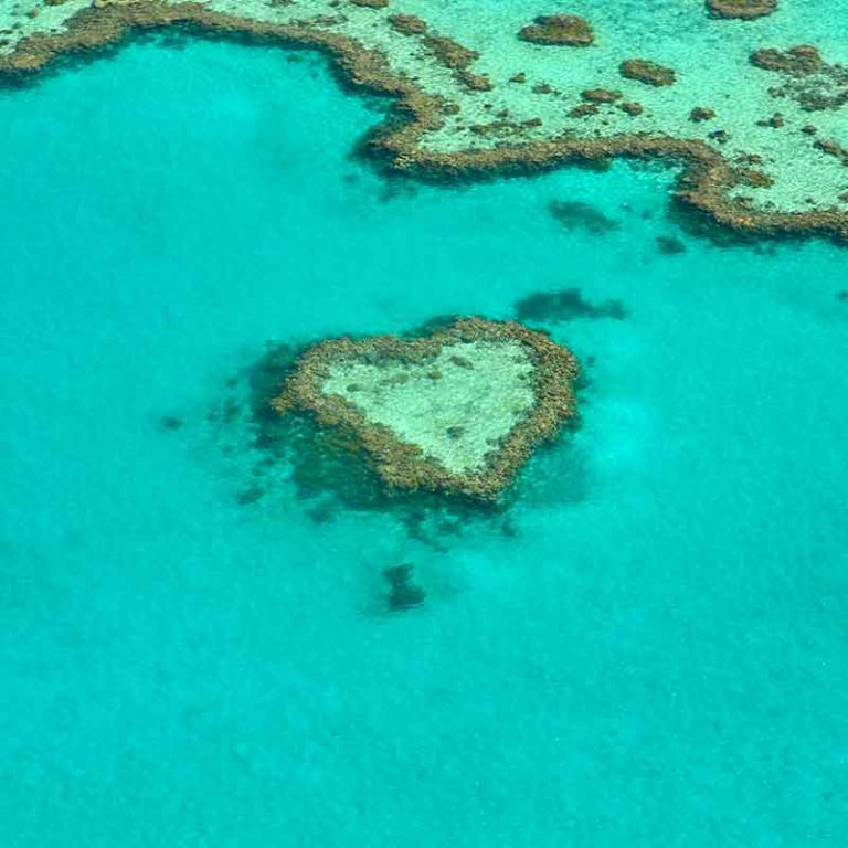 13 Day Australian Highlights Escorted Tour