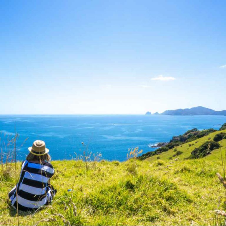 16 Day New Zealand Gateway Escorted Tour.