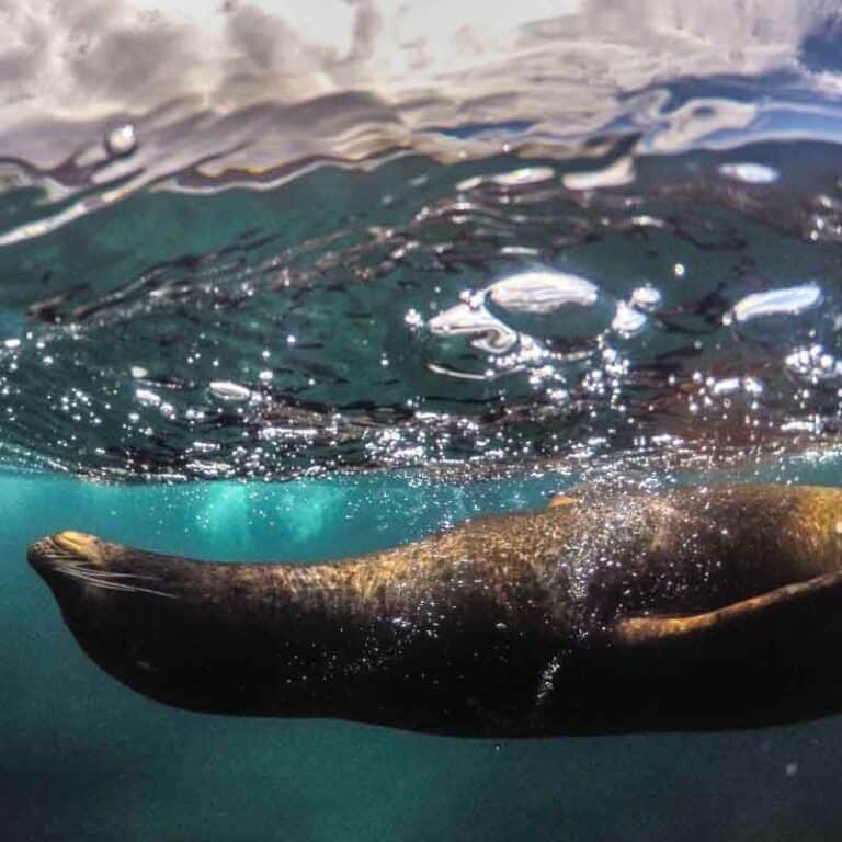 Eastern Galapagos Islands Exploration Cruise.