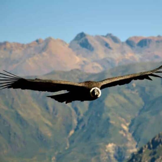 Peru holidays. Destination highlights and travel information