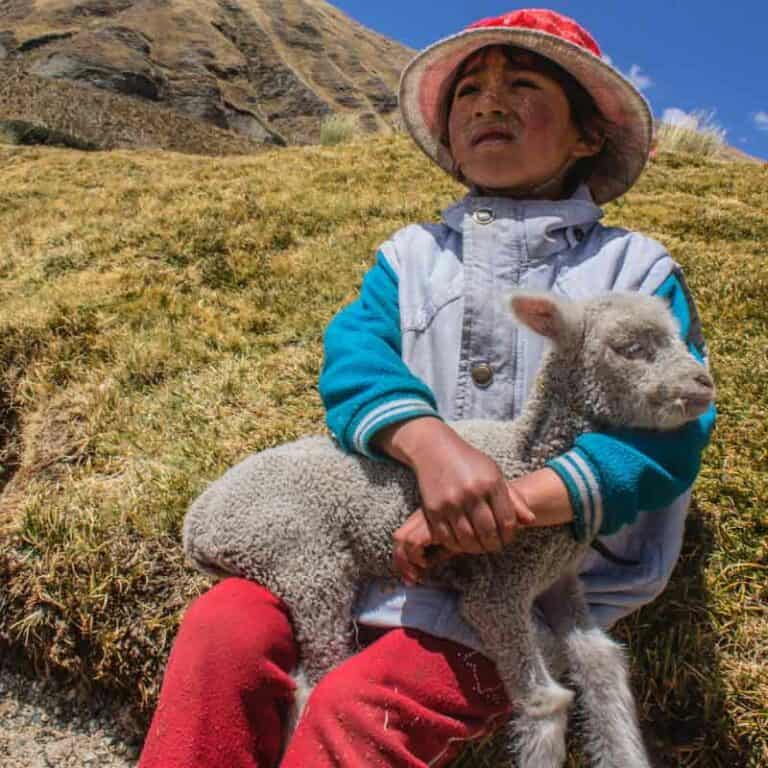 14 Day Wonders of Peru with Mancora Beach. Independent Tour
