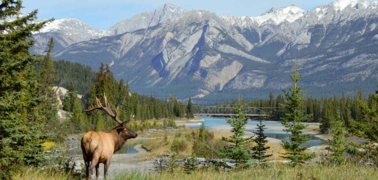 Iconic Rockies and Western Canada Escorted Tour