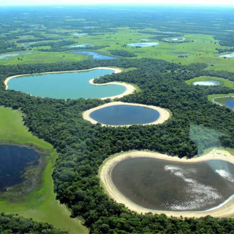 9 Day Rio, Iguassu, and the Southern Pantanal