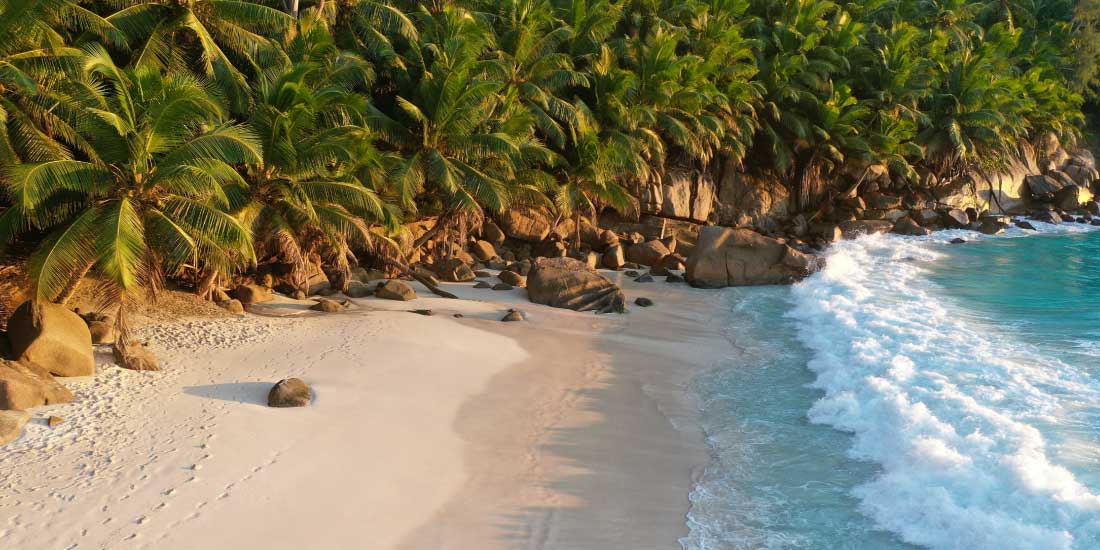 Seychelles Holidays. Essential destination information for tourist, travellers, and visitors