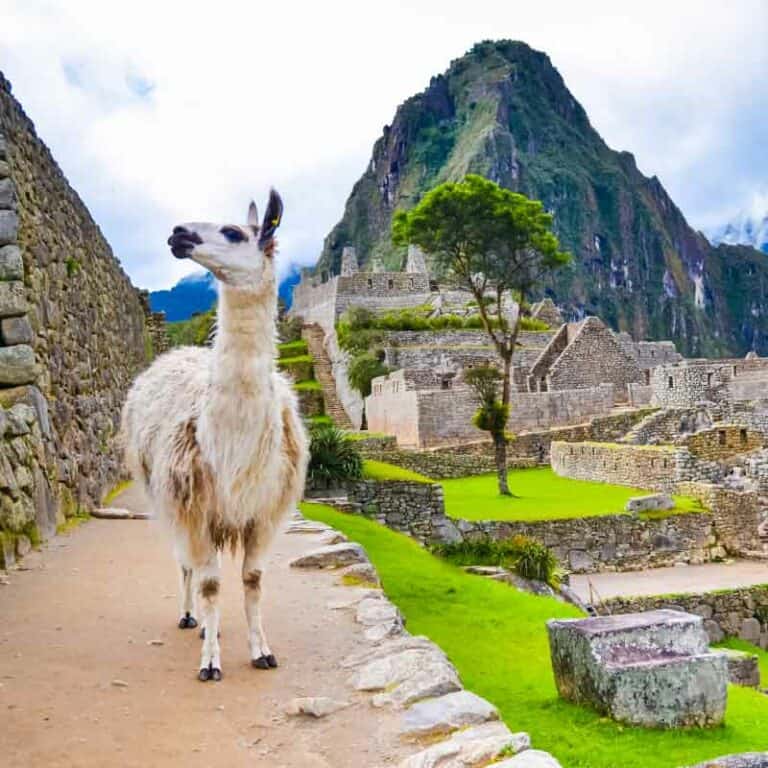 South America Discovery Tour