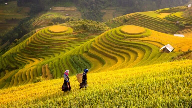 Cycle Northern Vietnam
