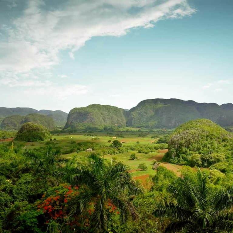 Vinales