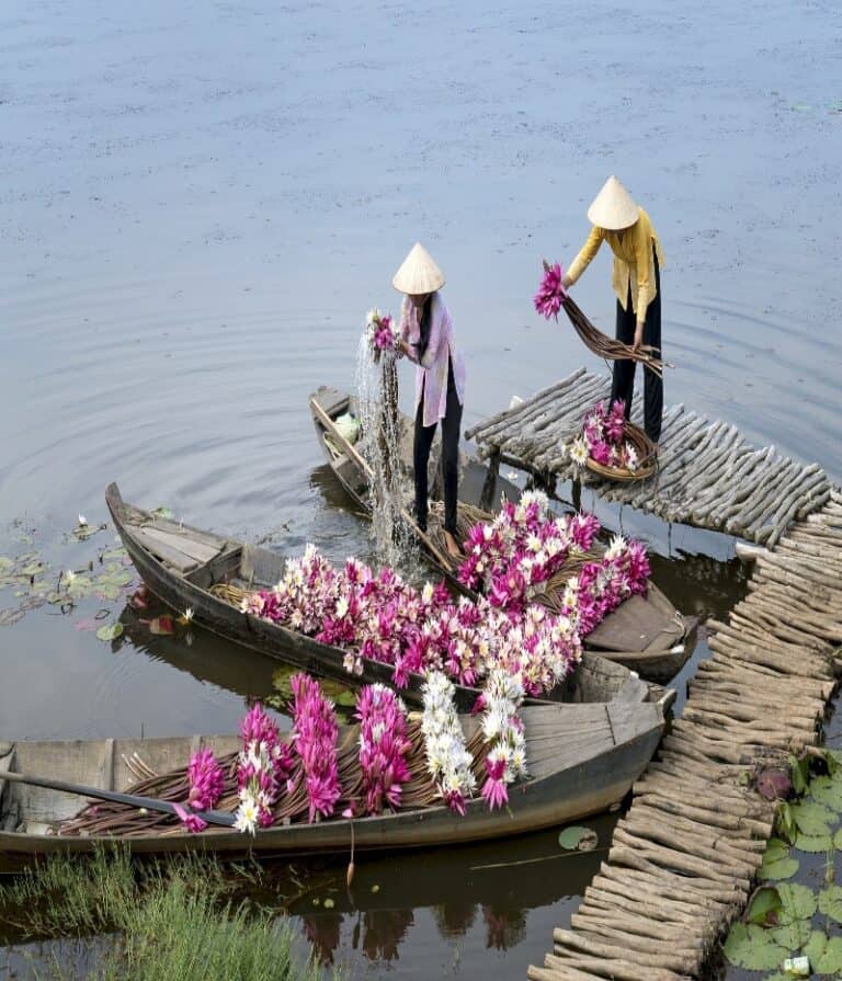 Treasures of Vietnam