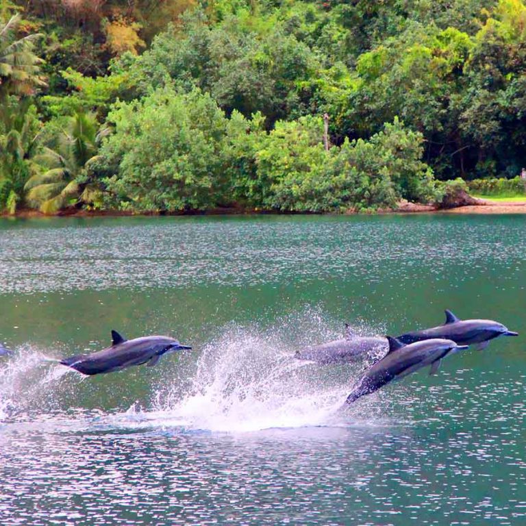 Island Hopping. Popular itineraries