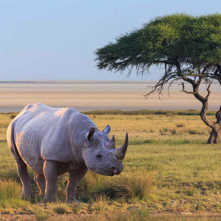 Kruger National Park