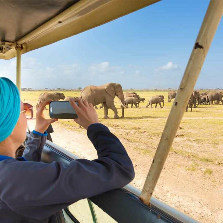 South Africa Tours