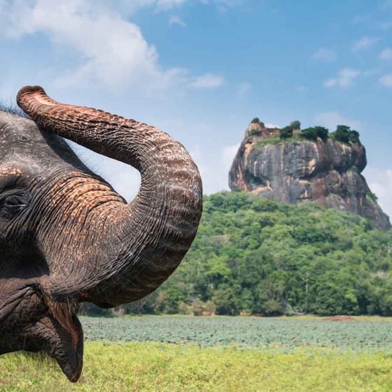 Holidays in Sri Lanka. Destinations Guide, Sigiriya
