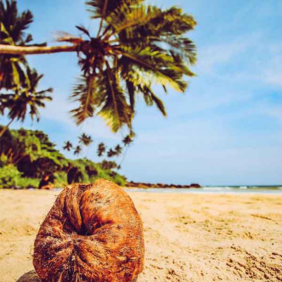 Sri Lanka Beach Holidays