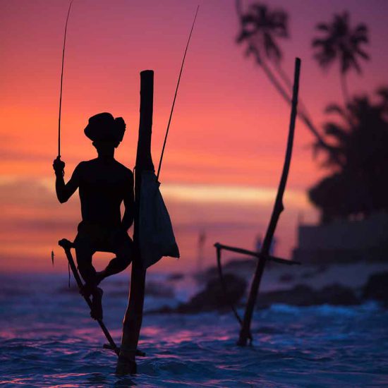 Sri Lanka Travel Guide: Your Complete Holiday Resource