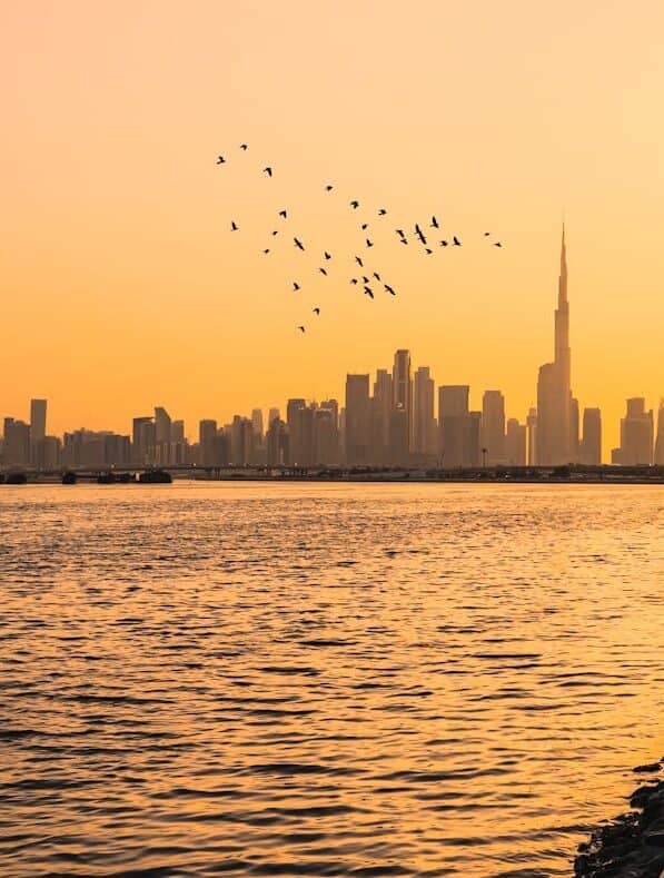Holidays in Dubai by Travelisto Special Offers