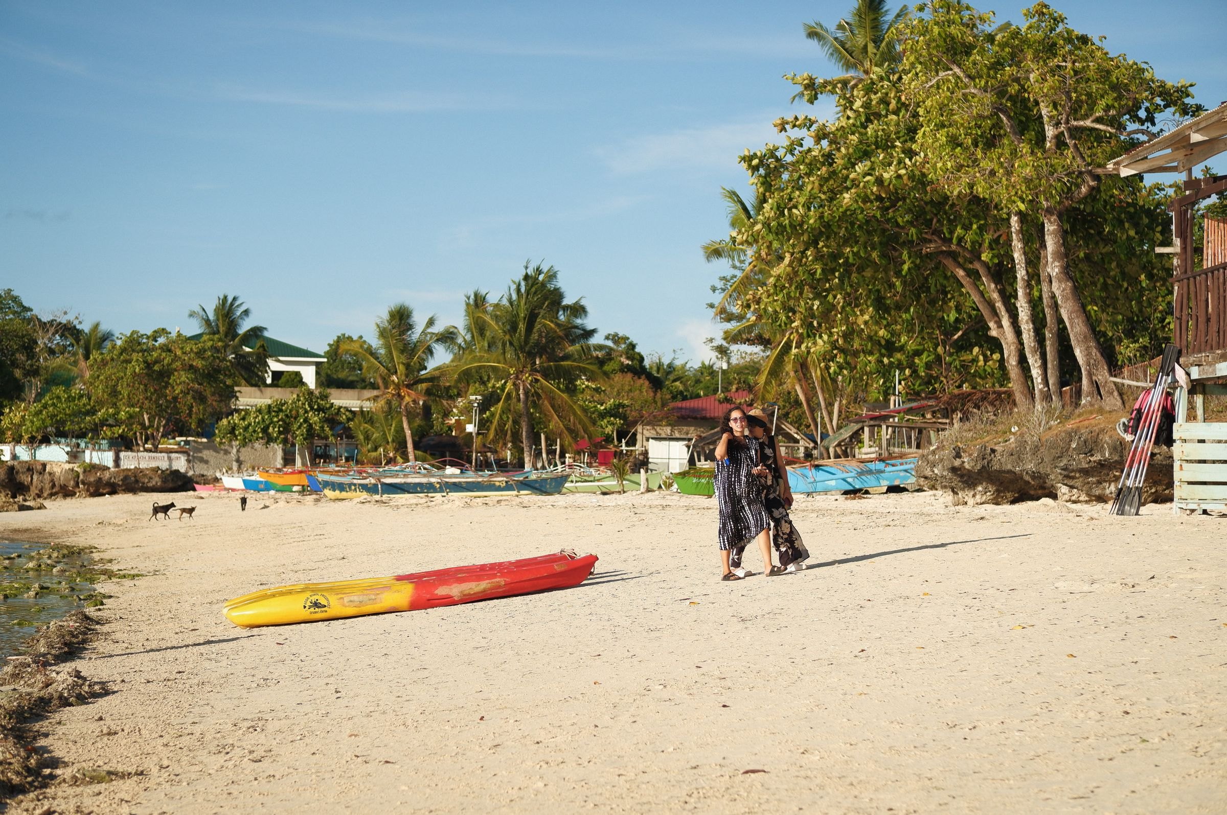 A beach with colourful boats in the central Philippines