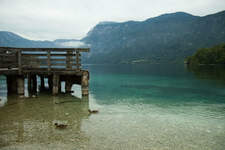 A calm morning on Lake Bohinj
