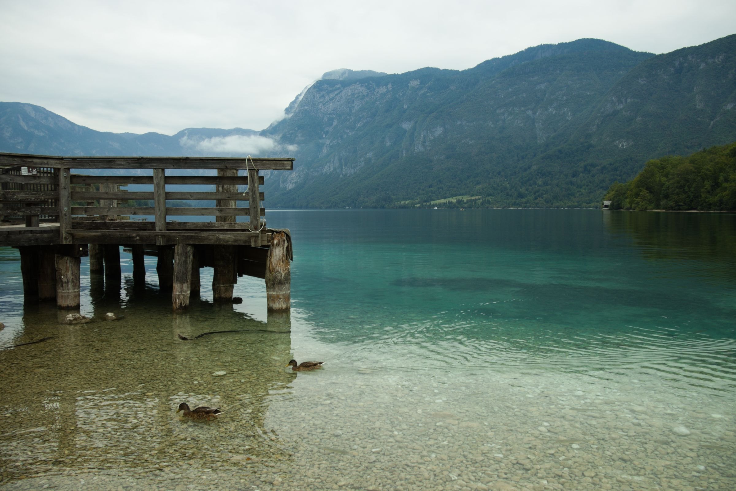 A calm morning on Lake Bohinj