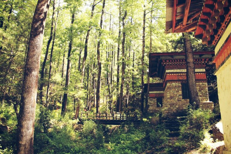 A forest trail and traditional building near Trongsa