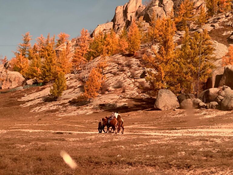 A horse rider among autumn larches and rocks in Mongolia