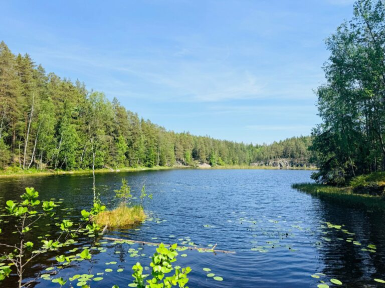 A lake and forest in Nuuksio National Park