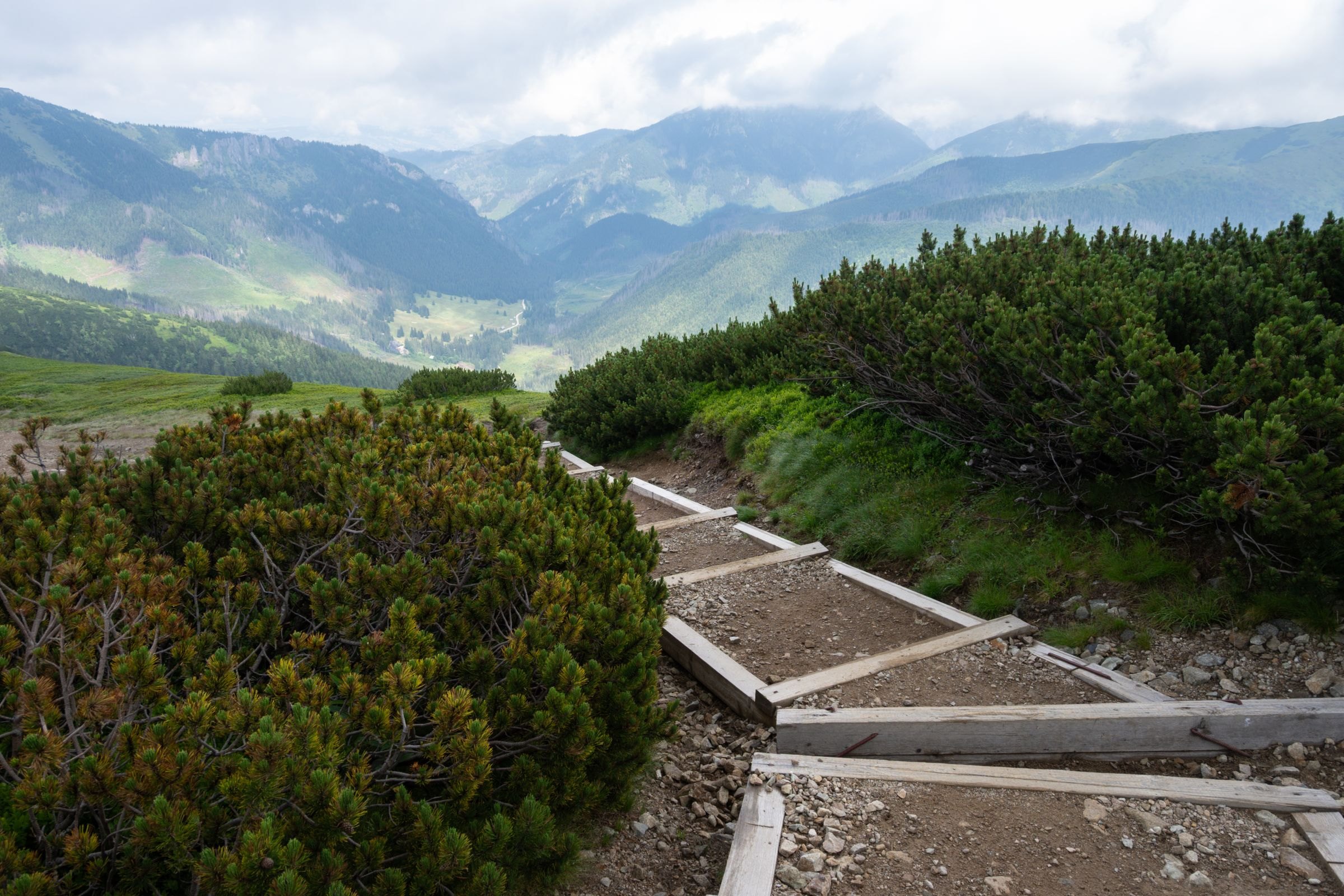 A mountain trail in the Tatras