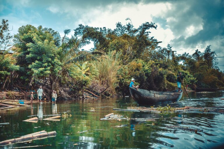 A pirogue on a jungle river in Madagascar