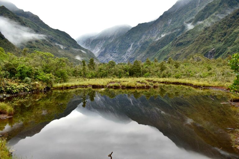 A reflection pool near Franz Josef Glacier