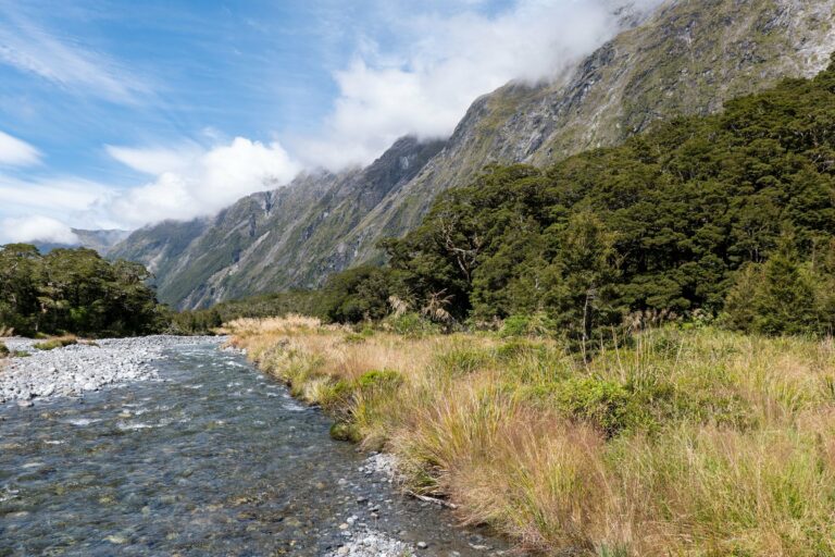 A river and mountains along a Fiordland walking track