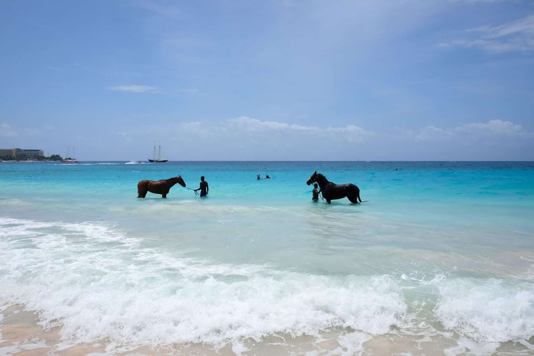 New York & Barbados