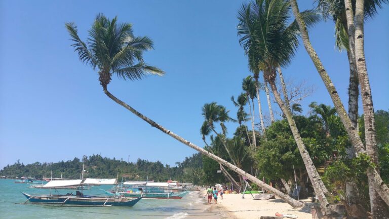 A tropical beach with palms and boats in Palawan