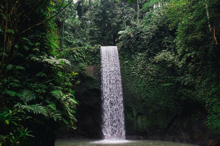 A waterfall in Bali's jungle