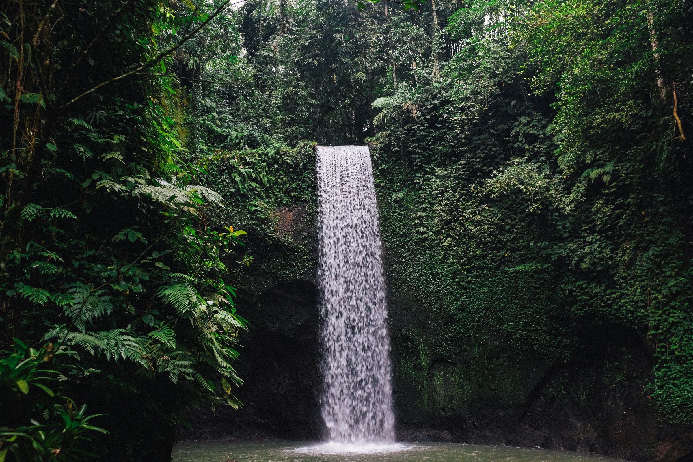 A waterfall in Bali's jungle