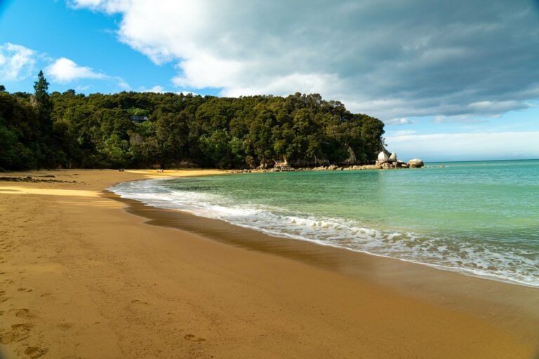 A golden beach in Abel Tasman National Park