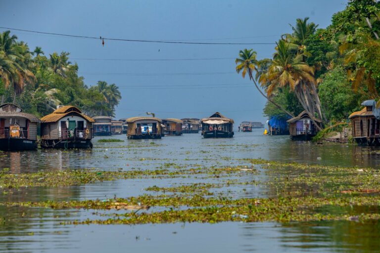 Houseboats on the backwaters at Alappuzha