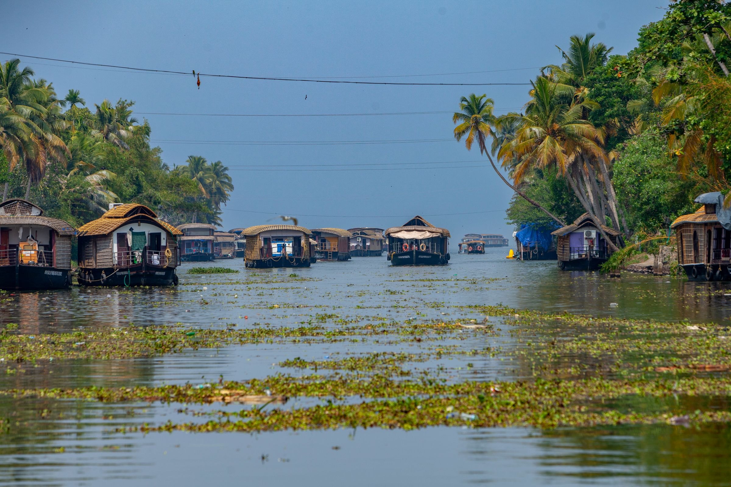 Houseboats on the backwaters at Alappuzha