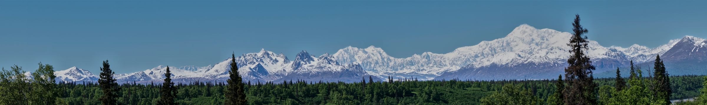 The Alaska Range above the forest