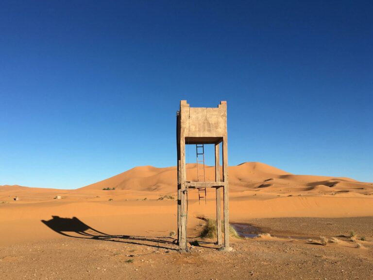Sahara — Tassili & M'zab