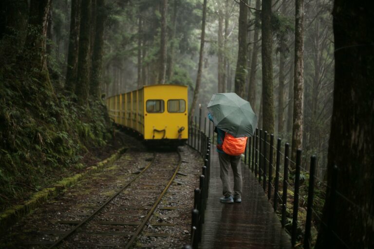 The Alishan Forest Railway in the mist