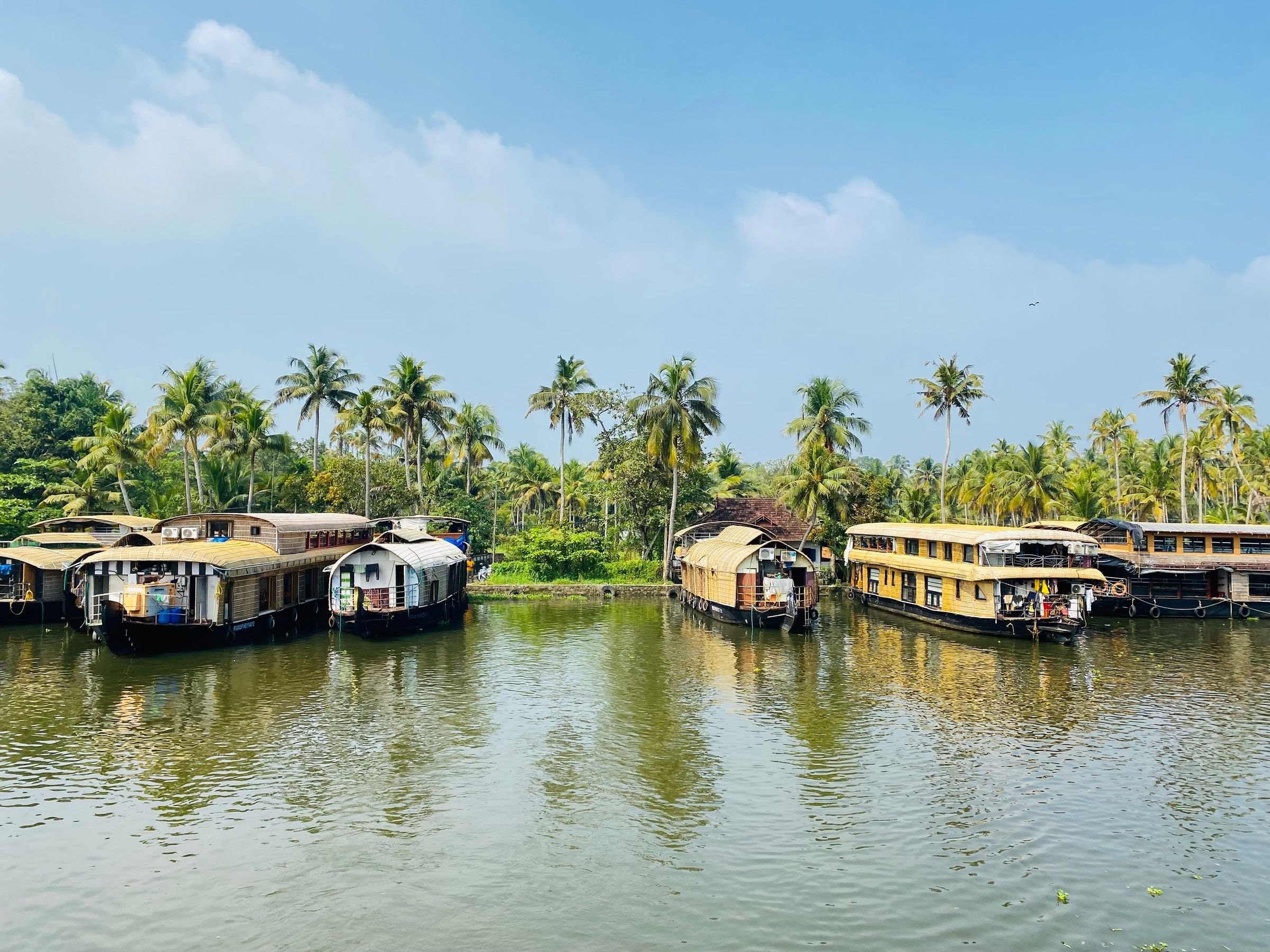 Houseboats on the backwaters of Alleppey