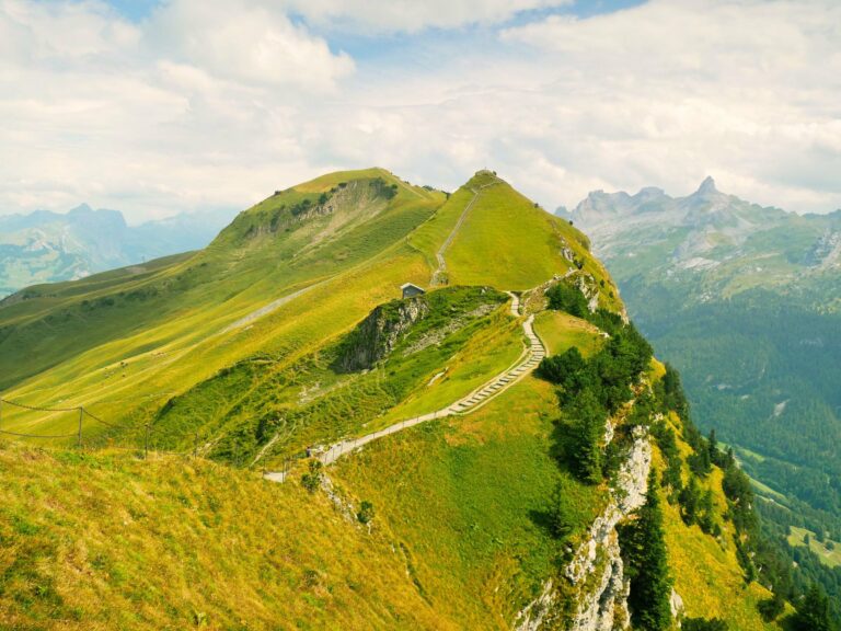 An alpine hiking trail on a grassy ridge