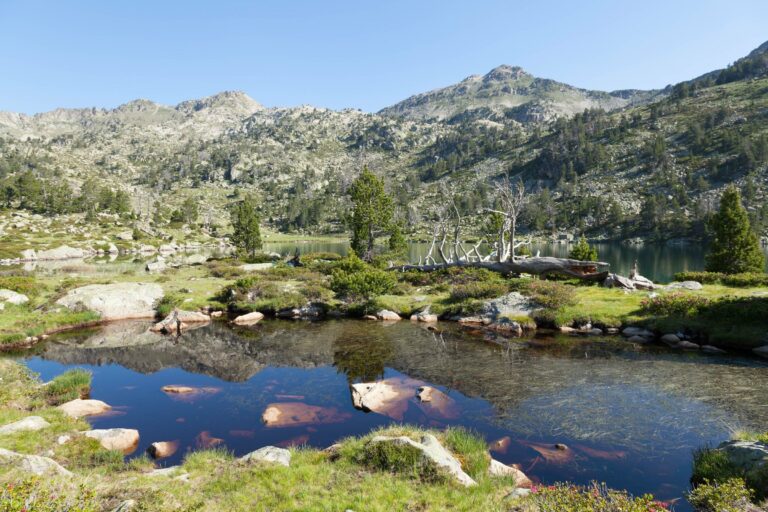 An alpine lake in the Pyrenees