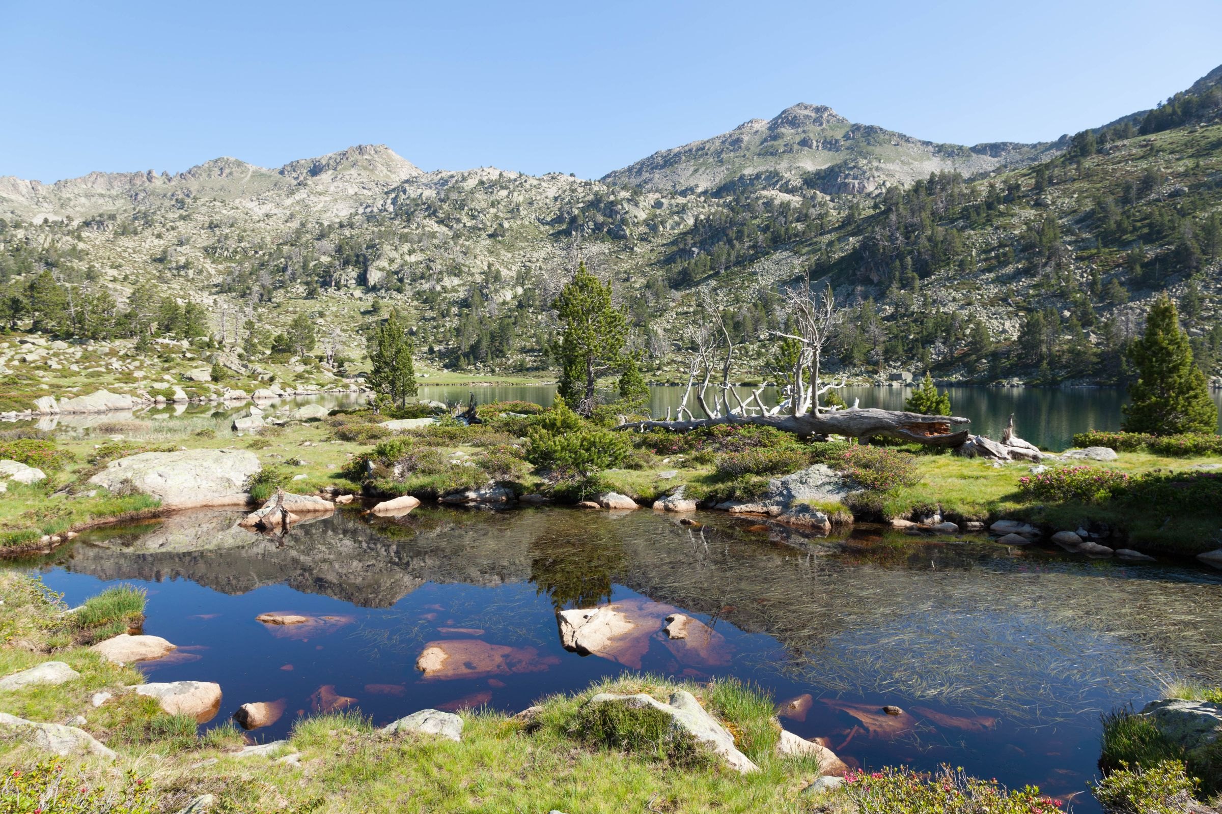 An alpine lake in the Pyrenees