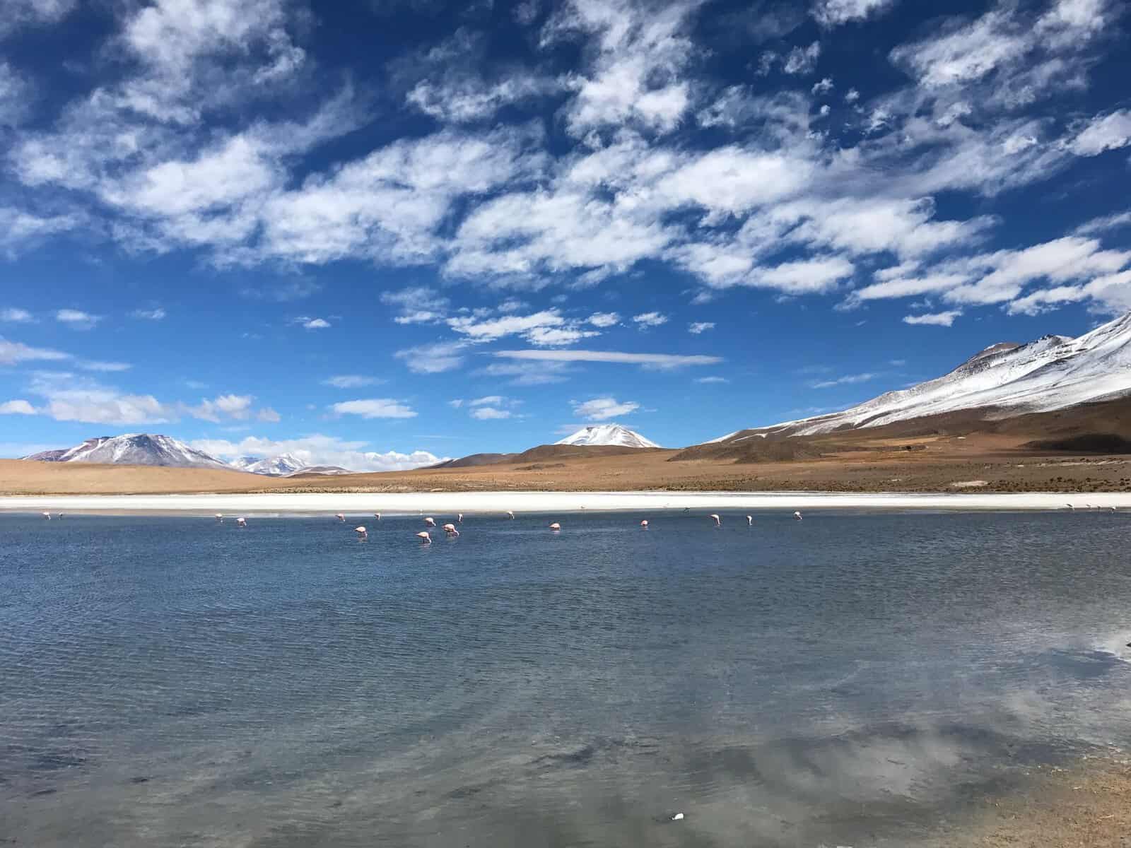 A high-altitude lake with flamingos in the Atacama