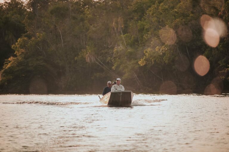 A boat on a rainforest river