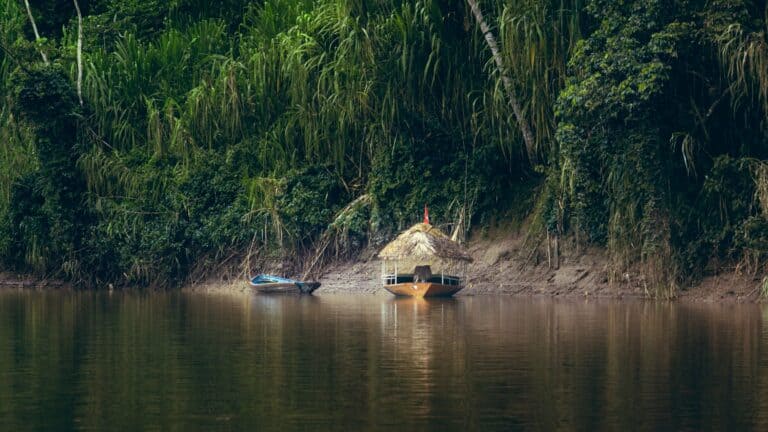 A thatched boat on a jungle river