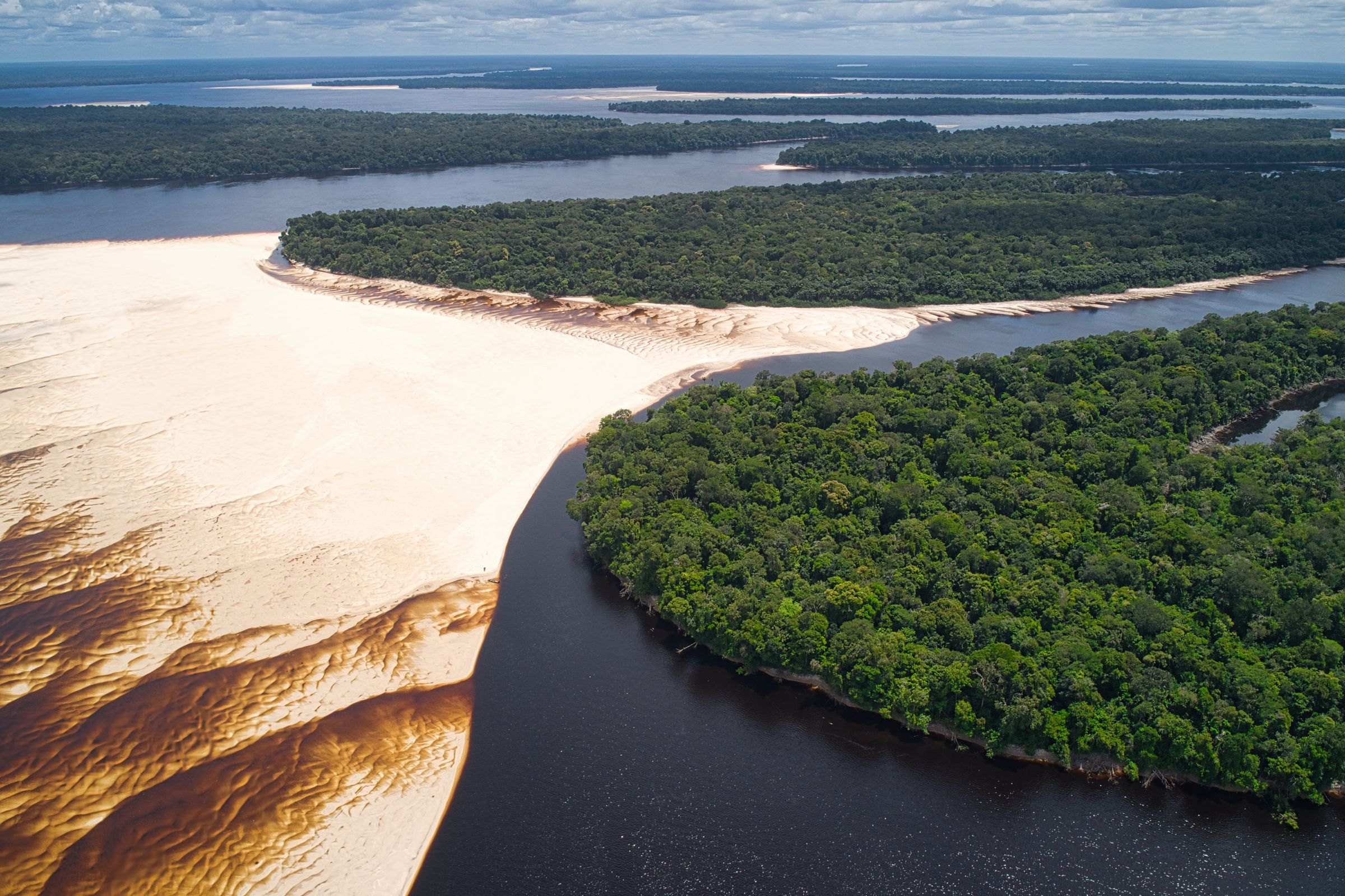 The Amazon rainforest from the air